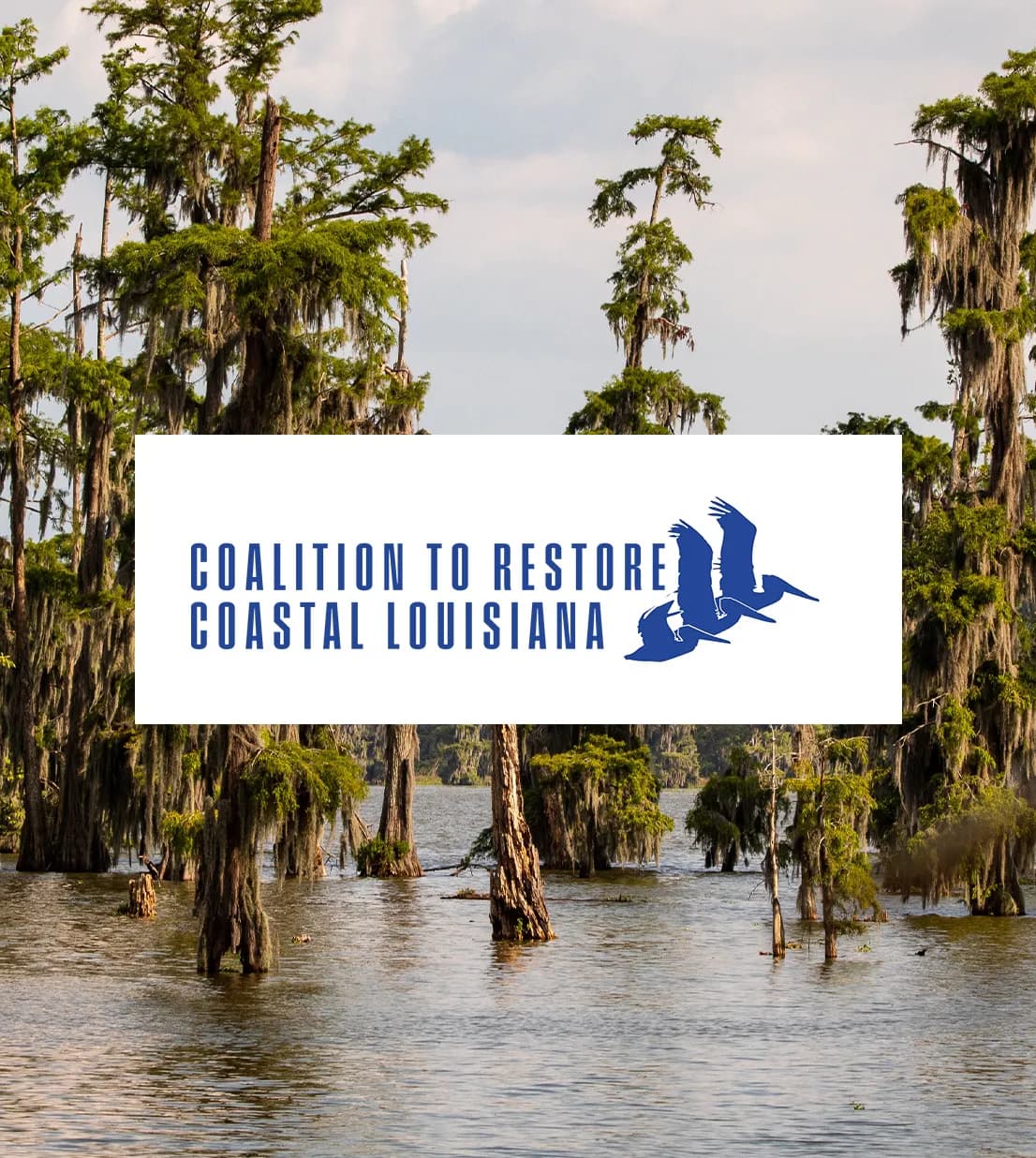 Coastal Louisiana landscape